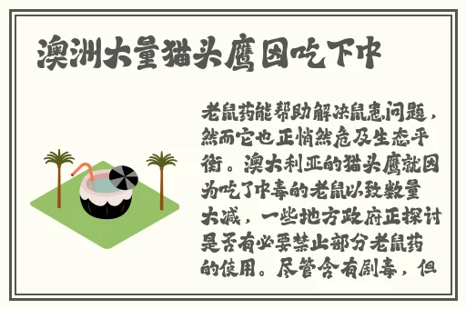 香蕉草莓秋葵绿巨人聚合
